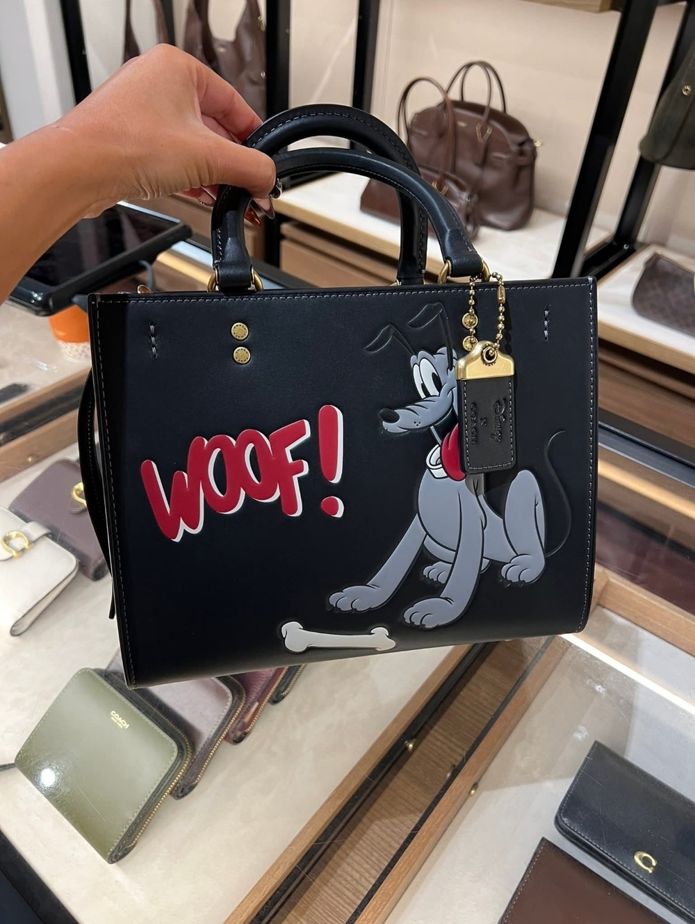 In Search Of These Coach Bags - Picture 10 of 10